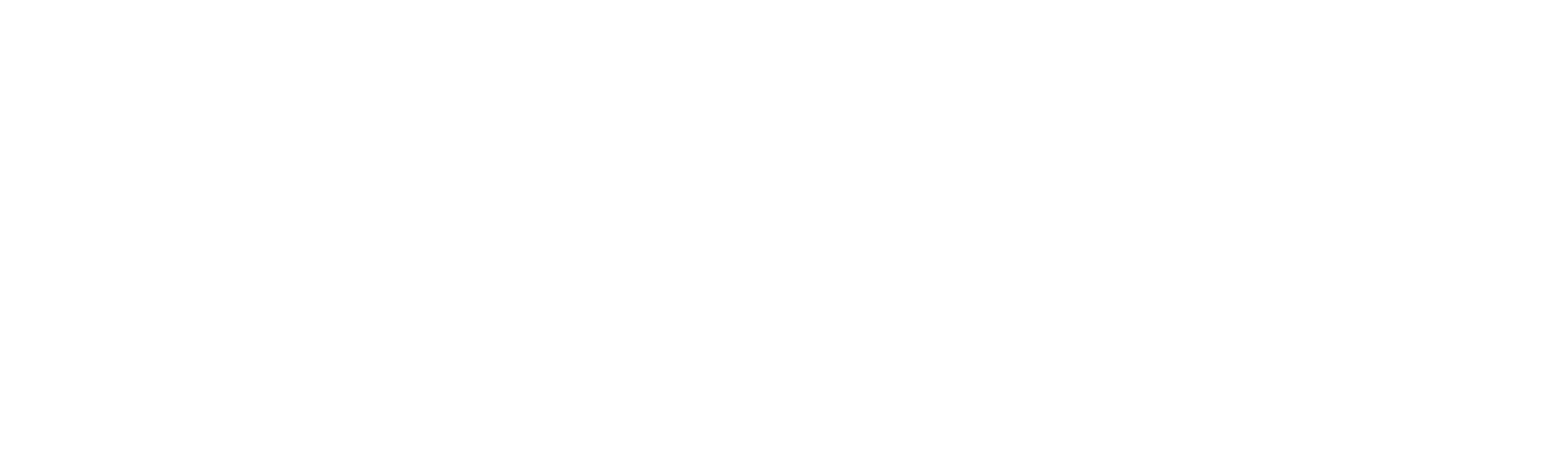 Newsecs logo i farve hvid
