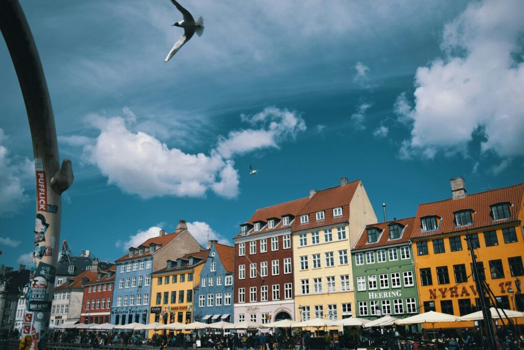 Nyhavn colorful buildings with seagull flying above – Newsec supports associations in historic Copenhagen