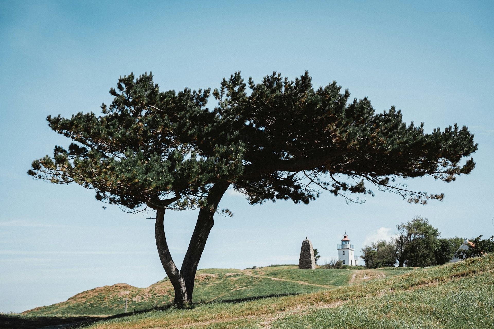 Økonomisk styring og budget i grundejerforeningen