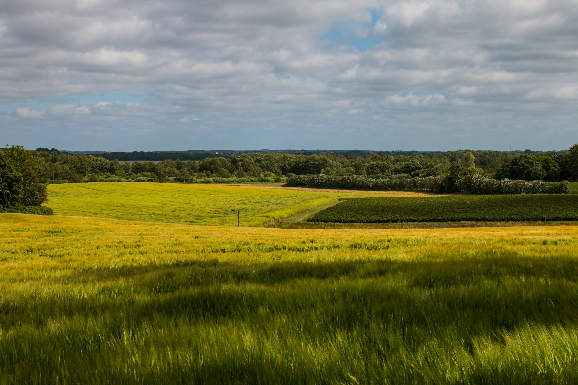 Hvilke krav bør du stille til en boligadministrator? En guide til at vælge den rette partner