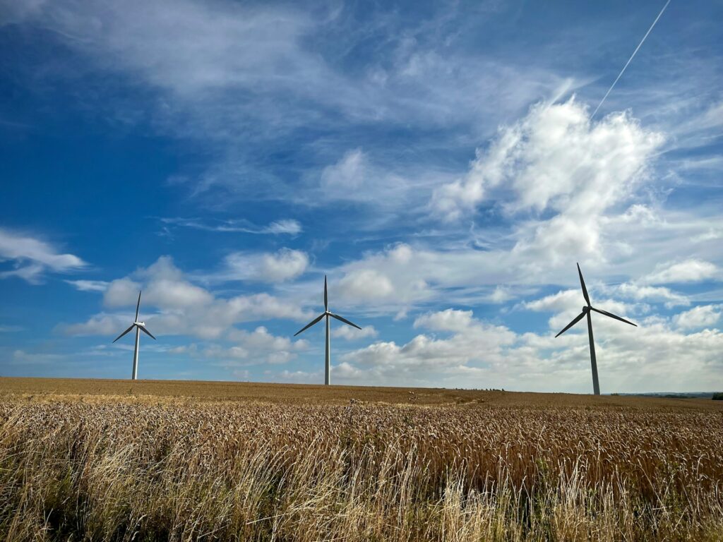Vindmøller på kornmark under blå himmel, symbol på bæredygtighed, fællesskab og ejendomsadministration
