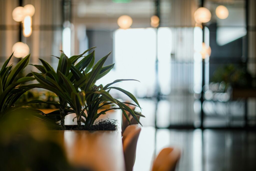 Moderne Newsec reception og indgangsområde - velkommen til professionel rådgivning for foreninger