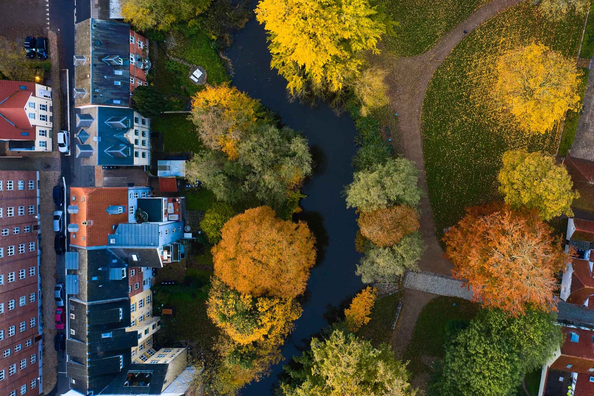 Hvad koster en vedligeholdelsesplan i foreningen?