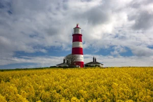 Totaladministration af andelsboligforeninger – Økonomisk kontrol og transparens